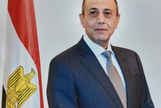 L’usage optimal des aéroports avance bien 1 - Le Progrès Egyptien