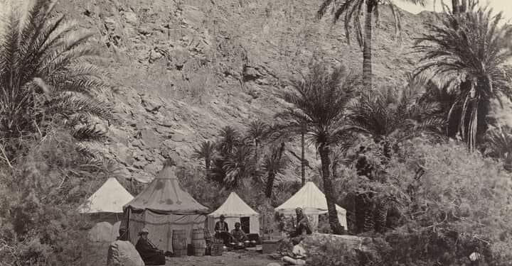 La Vallée de Firan.. une bouée de sauvetage au Sinaï 1 - Le Progrès Egyptien