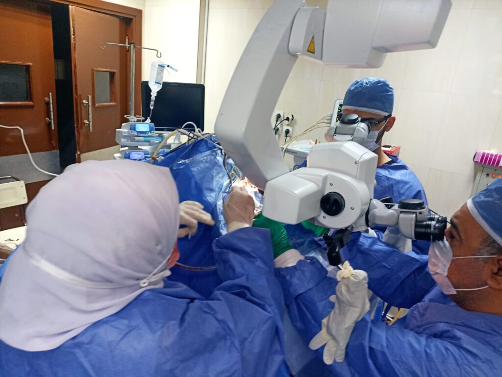Université d'Assiout: Ablation d'une rare tumeur de la glande pinéale 4 - Le Progrès Egyptien Université d'Assiout: Ablation d'une rare tumeur de la glande pinéale 3 - Le Progrès Egyptien