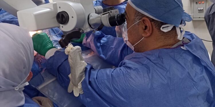 Université d'Assiout: Ablation d'une rare tumeur de la glande pinéale 2 - Le Progrès Egyptien Université d'Assiout: Ablation d'une rare tumeur de la glande pinéale 1 - Le Progrès Egyptien