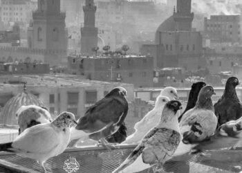 Le Caire, « La ville aux 1000 minarets »