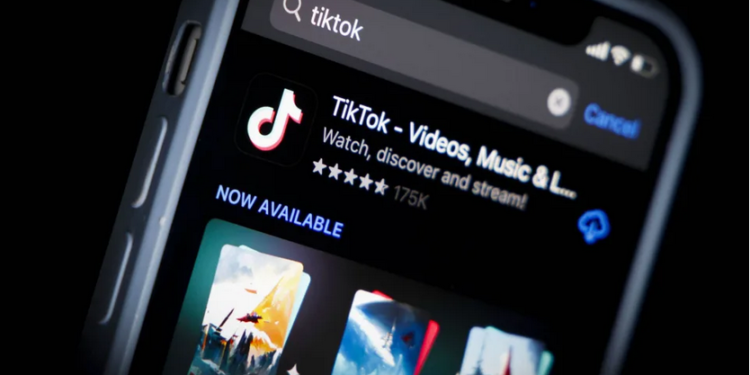 La Maison Blanche ordonne aux agences fédérales de bannir TikTok 1 - Le Progrès Egyptien
