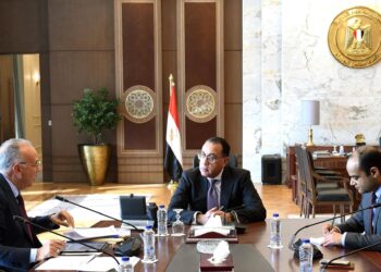 L’Egypte booste son partenariat avec les pays frères