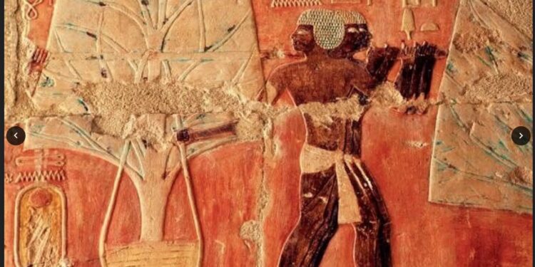 La momification passée au crible 2 - Le Progrès Egyptien La momification passée au crible 1 - Le Progrès Egyptien