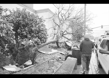 USA : Une tornade frappe Los Angeles, des toitures arrachées