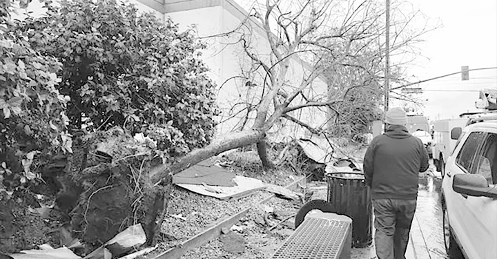 USA : Une tornade frappe Los Angeles, des toitures arrachées 1 - Le Progrès Egyptien