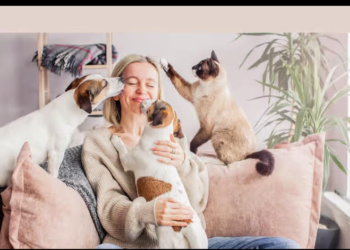 Les animaux de compagnie peuvent transmettre aux humains des bactéries dangereuses