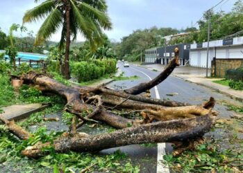 Séisme : Etat d’urgence au Vanuatu