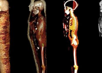 L’Egypte révolutionne l’étude des momies