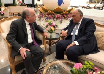 L’Egypte et le Brésil multiplient la coopération dans le domaine des échanges commerciaux