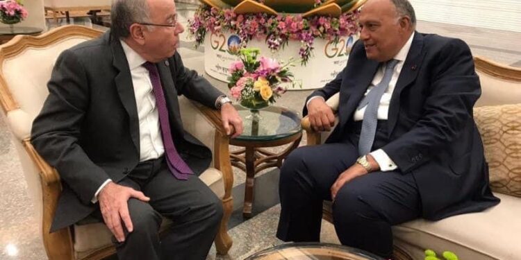L'Egypte et le Brésil multiplient la coopération dans le domaine des échanges commerciaux 1 - Le Progrès Egyptien