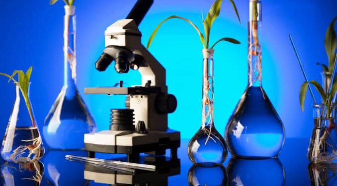 <strong>Hadiths en bref</strong> 1 - Le Progrès Egyptien