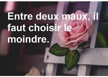 Un proverbe, une histoire