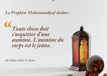 Hadiths en bref
