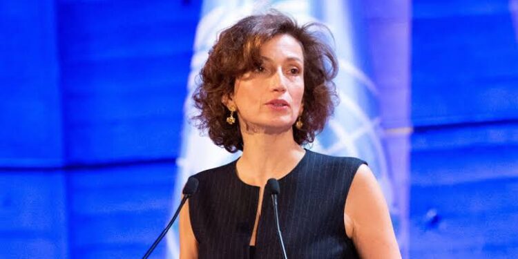 UNESCO : Le monde a besoin de règles éthiques pour l'IA 1 - Le Progrès Egyptien