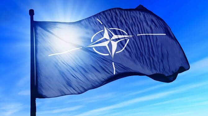 OTAN : La Finlande rejoindra officiellement l'alliance 2 - Le Progrès Egyptien OTAN : La Finlande rejoindra officiellement l'alliance 1 - Le Progrès Egyptien