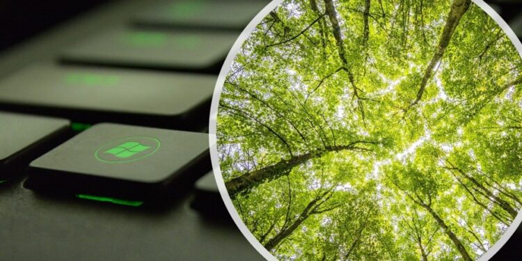 Le numérique a un impact environnemental 2 - Le Progrès Egyptien Le numérique a un impact environnemental 1 - Le Progrès Egyptien