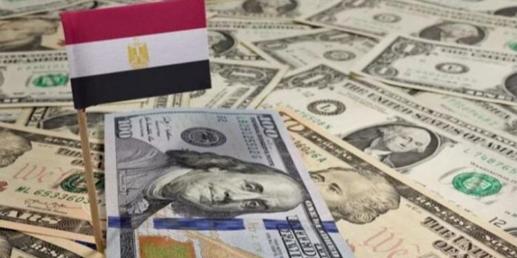 Hausse de la réserve en devises à 34,352 milliards de dollars 1 - Le Progrès Egyptien