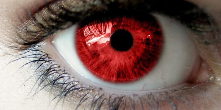 S’exprimer a des couleurs et des saveurs 1 - Le Progrès Egyptien