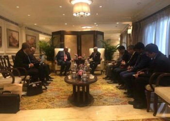 Choucri : L’Egypte a confiance dans la présidence indienne active des réunions du G20