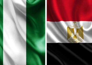 Al-Sissi présente ses vœux au président élu du Nigeria