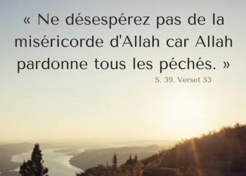 Hadiths en bref