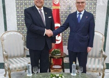 Egypte – Tunisie : Coopération et partenariat stratégique