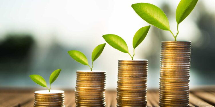 Vers un investissement environnemental et climatique 2 - Le Progrès Egyptien Vers un investissement environnemental et climatique 1 - Le Progrès Egyptien