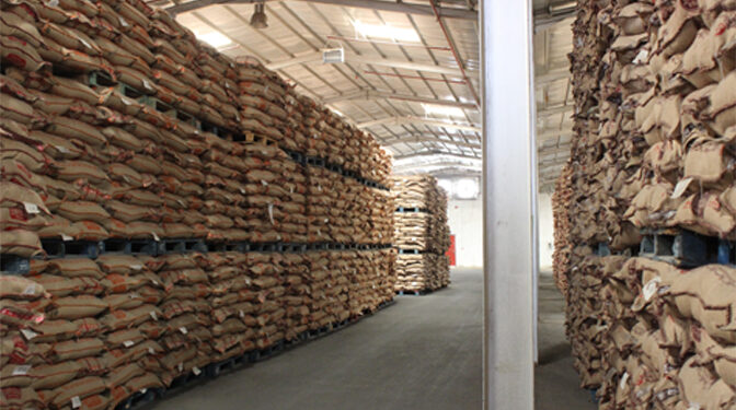 Les stocks de riz surpassent les besoins du marché local 2 - Le Progrès Egyptien Les stocks de riz surpassent les besoins du marché local 1 - Le Progrès Egyptien