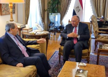 Rencontre à huis clos entre Choucri et son homologue syrien