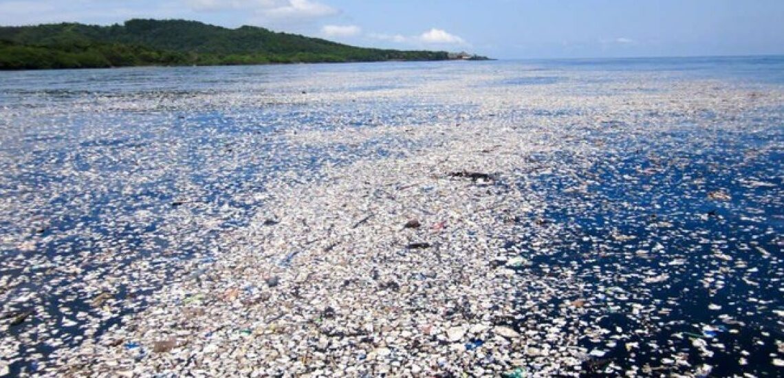 Le Continent De Plastique Dans Le Pacifique A Son Propre écosystème ...