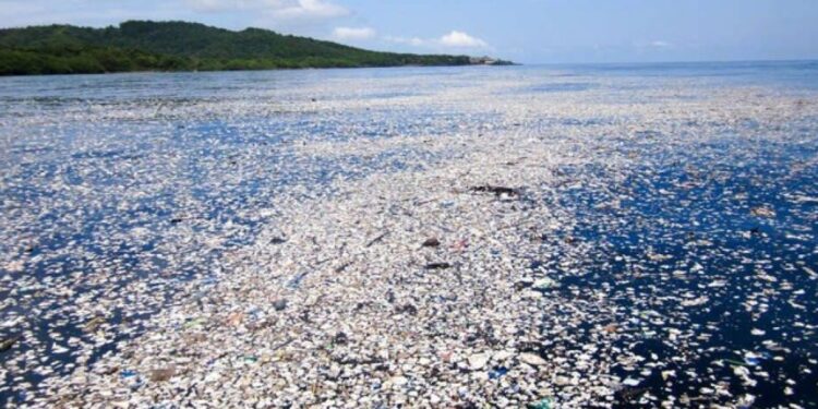 Le continent de plastique dans le Pacifique a son propre écosystème 1 - Le Progrès Egyptien