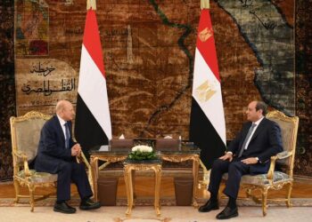 Position ferme de l’Egypte en faveur de l’unité  de l’Etat yéménite
