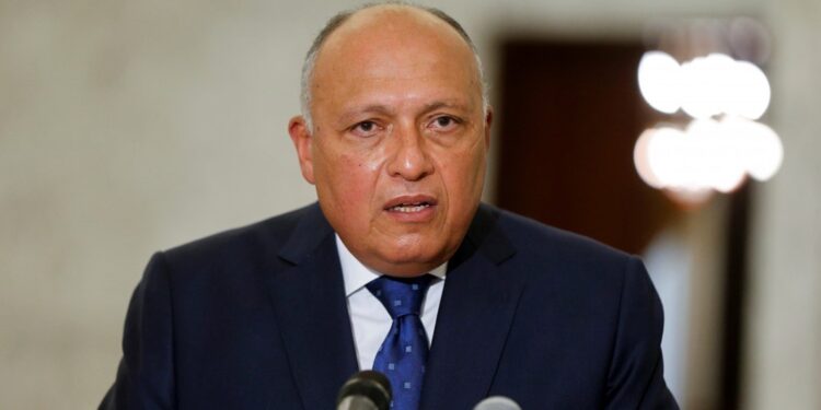 Le ministre des AE s'entretient avec son homologue djiboutien et le ministre des AE par intérim du Soudan du Sud 1 - Le Progrès Egyptien