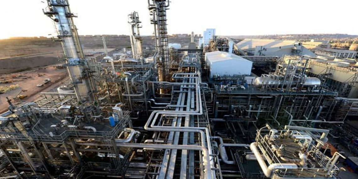 Nouvelles industries de transformation 2 - Le Progrès Egyptien Nouvelles industries de transformation 1 - Le Progrès Egyptien