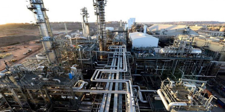 Nouvelles industries de transformation 2 - Le Progrès Egyptien Nouvelles industries de transformation 1 - Le Progrès Egyptien