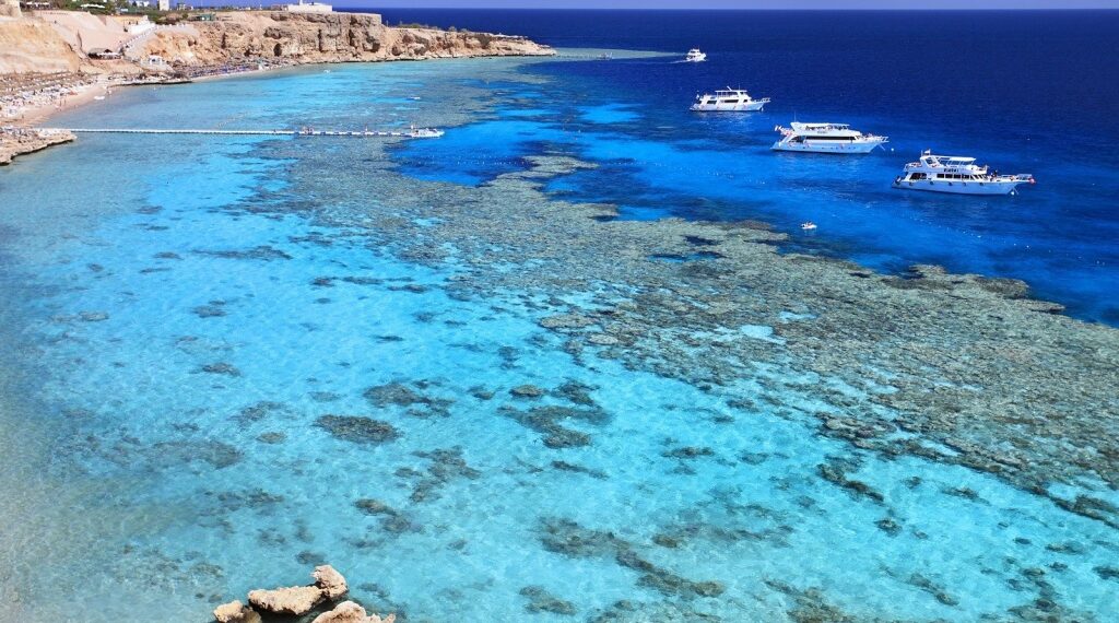 Assurer l’équilibre des écosystèmes 1 - Le Progrès Egyptien