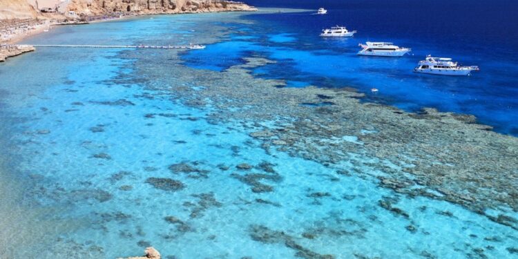 Assurer l’équilibre des écosystèmes 1 - Le Progrès Egyptien