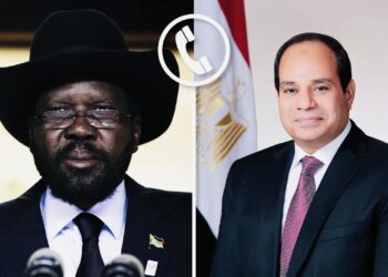Al-Sissi et Salva Kiir appellent à un cessez-le-feu immédiat au Soudan 