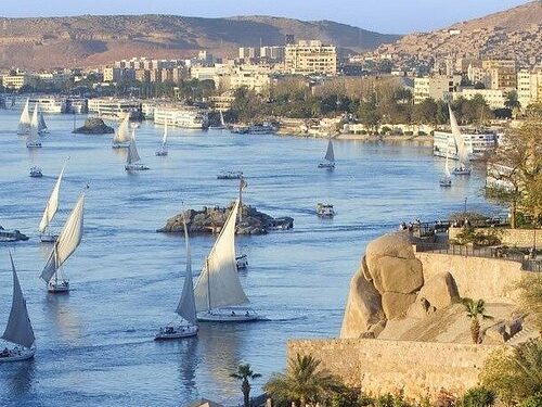 Assouan : Poursuite de l’initiative “100 millions d’arbres” 1 - Le Progrès Egyptien