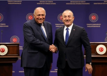 Après Ankara, Choucri à Djeddah pour la réunion des ministres arabes des A.E.