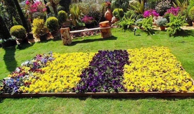 90e édition de l’exposition des fleurs printanières 2 - Le Progrès Egyptien 90e édition de l’exposition des fleurs printanières 1 - Le Progrès Egyptien