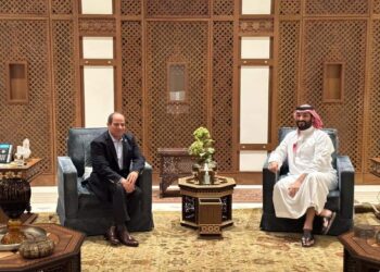 Al-Sissi et Mohamed Ben Salmane soucieux de renforcer la coopération (Photos)