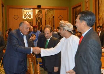 Choucri reçoit les ambassadeurs des États membres de l’OCI
