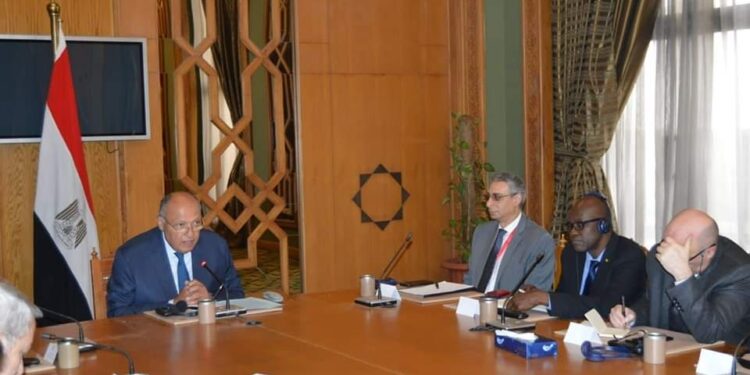 Choucri reçoit les ambassadeurs des États membres de l'OCI 1 - Le Progrès Egyptien