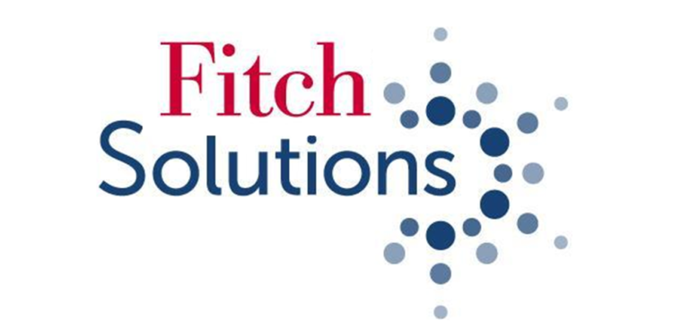 Fitch : Progrès positifs dans le secteur de technologies en Egypte 1 - Le Progrès Egyptien