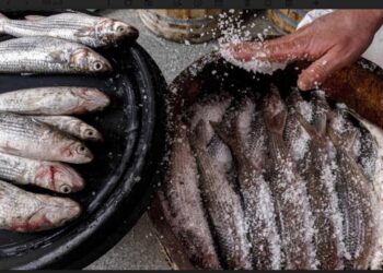 Cham El Nessim : Un plat de poisson salé ravit les papilles et prend au nez