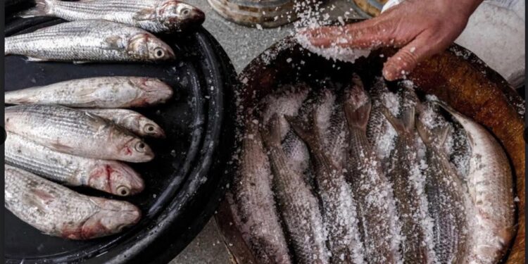 Cham El Nessim : Un plat de poisson salé ravit les papilles et prend au nez 1 - Le Progrès Egyptien
