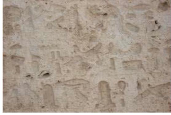 Peintures de la ville d'Akhenaton à Al-Houta Al-Sharqiya à Assiout 7 - Le Progrès Egyptien