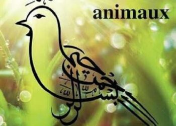 Protéger les animaux (1)